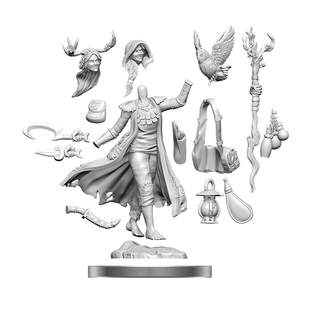 D&D Frameworks Human Druid Female