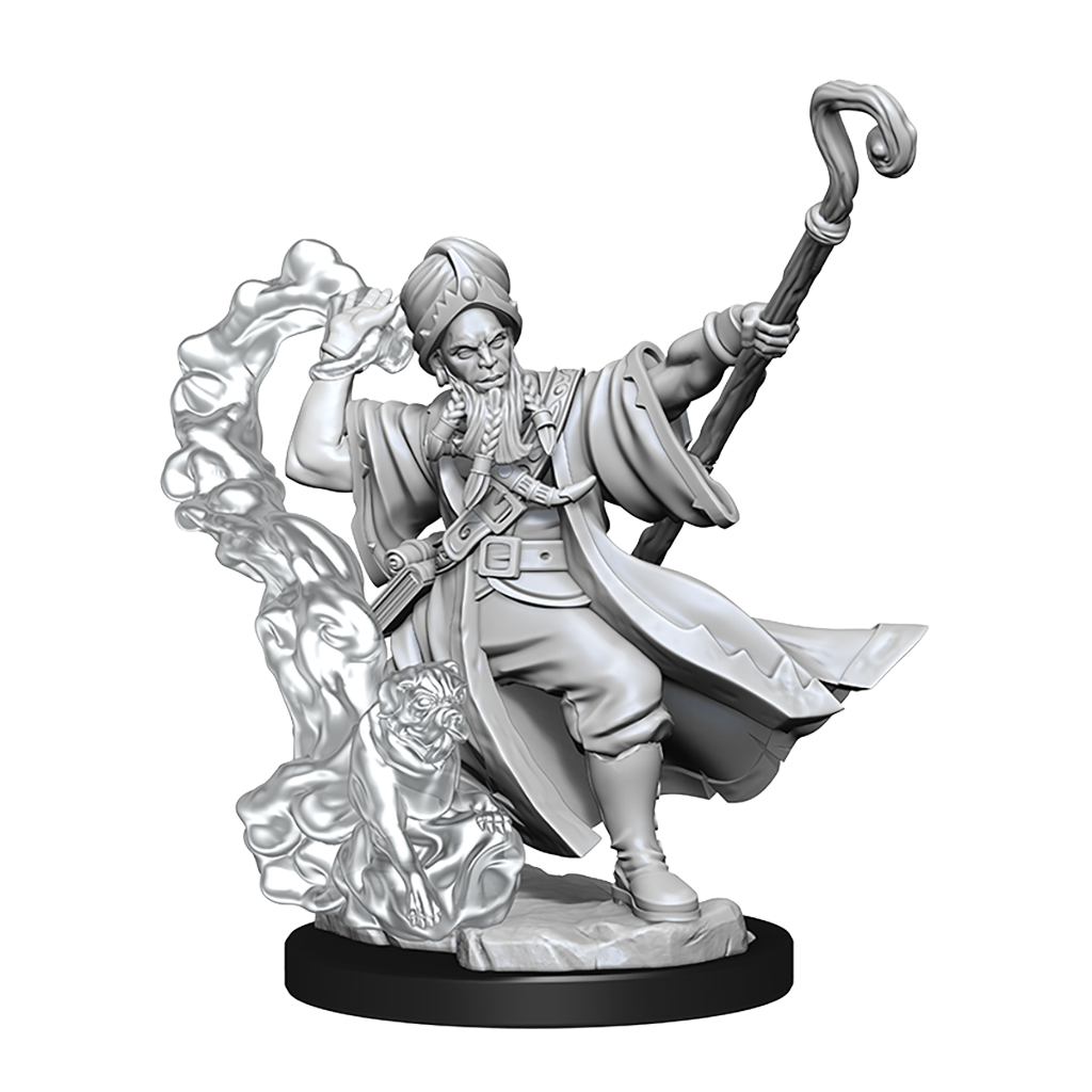 D&D Frameworks Human Wizard Male