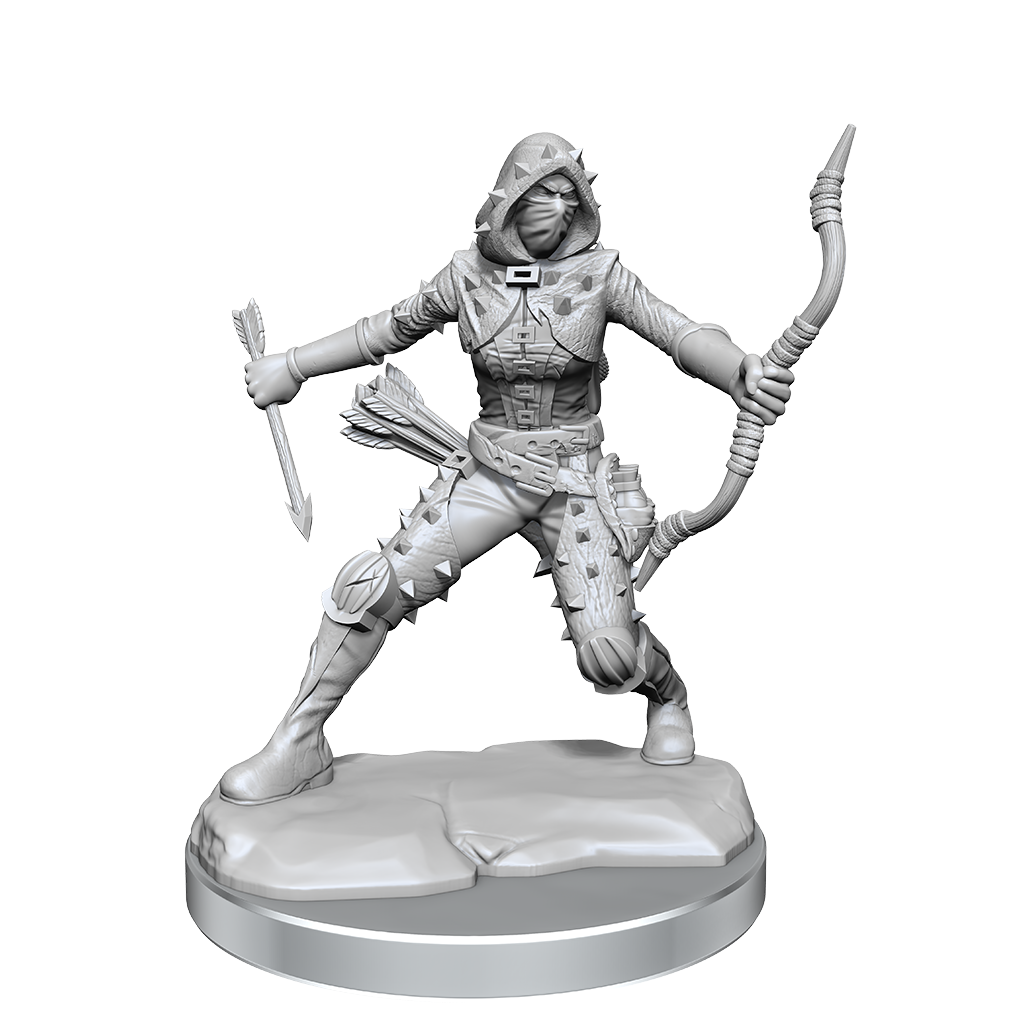 D&D Frameworks Human Rogue Female