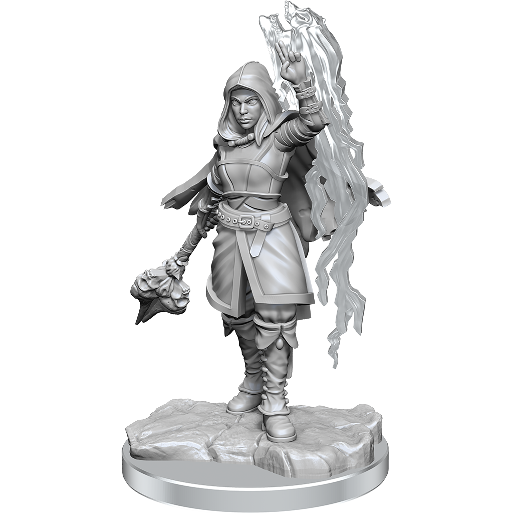 D&D Nolzurs Marvelous Miniatures Half-Elf Warlock