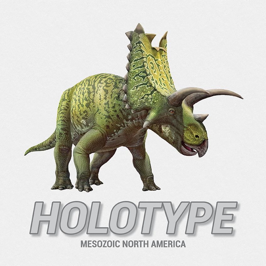 Holotype - Mesozoic North America