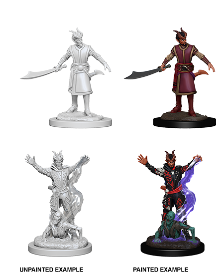 D&D Nolzurs Marvelous Unpainted Miniatures Male Tiefling Warlock