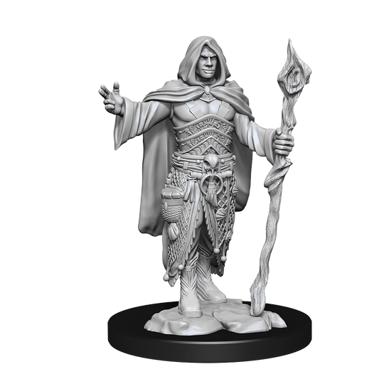 D&D Nolzurs Marvelous Unpainted Miniatures Human Druid Male
