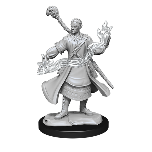D&D Nolzurs Marvelous Unpainted Miniatures Half-Elf Wizard Male