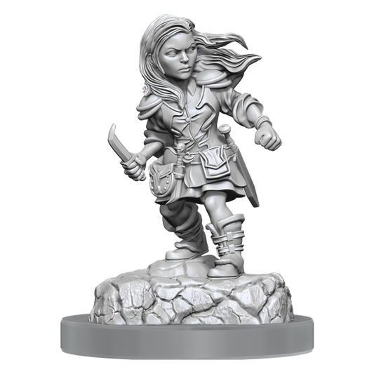 D&D Nolzurs Marvelous Miniatures Halfling Rogue Female