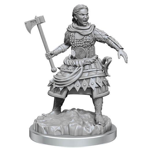 D&D Nolzurs Marvelous Unpainted Miniatures Human Fighters