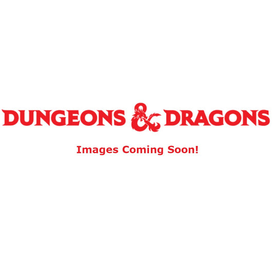 D&D Idols of the Realms Van Richtens Guide to Ravenloft 2D Set 2